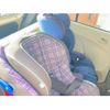 suzuki alto 2010 CFJ1531944 image 11