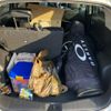nissan note 2013 CFJ1736576 image 9
