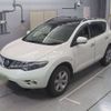 nissan murano 2010 -NISSAN--Murano TNZ51-006934---NISSAN--Murano TNZ51-006934- image 1