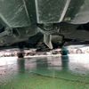 mazda axela 2013 -MAZDA 【新潟 301ﾆ4115】--Axela DBA-BM5FS--BM5FS-100384---MAZDA 【新潟 301ﾆ4115】--Axela DBA-BM5FS--BM5FS-100384- image 11