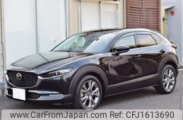 mazda cx-3 2019 CFJ1613690
