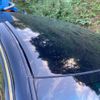 toyota crown 2011 CFJ1834561 image 6