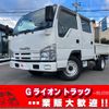 isuzu elf-truck 2007 GOO_NET_EXCHANGE_0730189A30250110W001 image 1