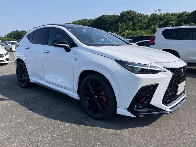 白州 2024Edition New 2024 Kawasaki Ninja ZX-4RR 40th