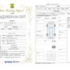 toyota crown 2018 -TOYOTA--Crown 6AA-GWS224--GWS224-1002570---TOYOTA--Crown 6AA-GWS224--GWS224-1002570- image 10