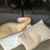 daihatsu tanto 2006 -DAIHATSU--Tanto CBA-L350S--L350S-0185010---DAIHATSU--Tanto CBA-L350S--L350S-0185010- image 9