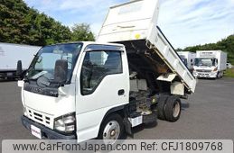 isuzu elf-truck 2006 CFJ1809768