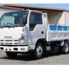 isuzu elf-truck 2010 quick_quick_BDG-NKS85AN_NKS85-7002179 image 1