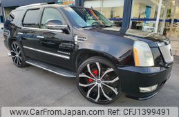 cadillac escalade 2010 -GM--Cadillac Escalade ﾌﾒｲ--202670---GM--Cadillac Escalade ﾌﾒｲ--202670-