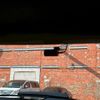 porsche cayenne 2024 quick_quick_7BA-E3RK_WP1ZZZ9YZRDA02227 image 18