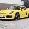 porsche cayman 2016 -PORSCHE--Porsche Cayman ABA-981DBX--WP0ZZZ98ZGK189324---PORSCHE--Porsche Cayman ABA-981DBX--WP0ZZZ98ZGK189324- image 1