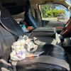 toyota hiace-wagon 2006 CFJ1754457 image 15