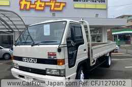 isuzu elf-truck 1991 GOO_NET_EXCHANGE_3000798A30250610W001