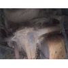 nissan caravan-van 2014 CFJ1748997 image 7