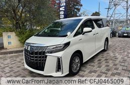 toyota alphard 2021 -TOYOTA--Alphard 6AA-AYH30W--AYH30-0128845---TOYOTA--Alphard 6AA-AYH30W--AYH30-0128845-