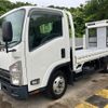 isuzu elf-truck 2009 GOO_NET_EXCHANGE_0508000A30250620W001 image 1