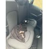 audi a1 2015 CFJ1681546 image 8