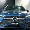 mercedes-benz gla-class 2021 -MERCEDES-BENZ--Benz GLA 3DA-247713M--W1N2477132J228235---MERCEDES-BENZ--Benz GLA 3DA-247713M--W1N2477132J228235- image 19