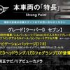 mini mini-others 2017 CFJ1729483 image 2