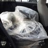 daihatsu mira-tocot 2019 -DAIHATSU 【柏 580ﾂ 340】--Mira Tocot DBA-LA550S--LA550S-0020755---DAIHATSU 【柏 580ﾂ 340】--Mira Tocot DBA-LA550S--LA550S-0020755- image 4