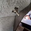 mazda bongo-truck 2017 CFJ1476762 image 20