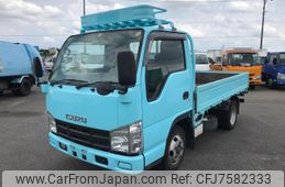 isuzu elf-truck 2008 GOO_NET_EXCHANGE_0206394A30220610W004