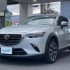 mazda cx-3 2019 -MAZDA--CX-3 6BA-DKEFW--DKEFW-206537---MAZDA--CX-3 6BA-DKEFW--DKEFW-206537- image 19