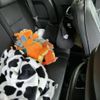 toyota fj-cruiser 2014 CFJ1701481 image 24