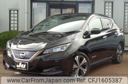 nissan leaf 2020 CFJ1605387