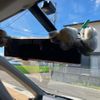 nissan serena 2011 -NISSAN--Serena DBA-FC26--FC26-025206---NISSAN--Serena DBA-FC26--FC26-025206- image 20