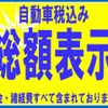 daihatsu move-canbus 2017 GOO_JP_700040326930231213003 image 3
