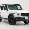 mercedes-benz g-class 2021 quick_quick_3DA-463350_W1N4633502X406173 image 19