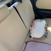 suzuki alto-lapin 2011 CFJ1570452 image 18