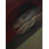 honda insight 2009 CFJ1712123 image 3