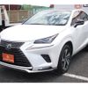 lexus nx 2020 CFJ1547687 image 21