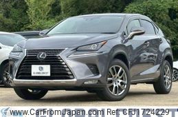 lexus nx 2019 CFJ1724229