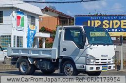 isuzu elf-truck 2010 GOO_NET_EXCHANGE_0800881A30240903W001