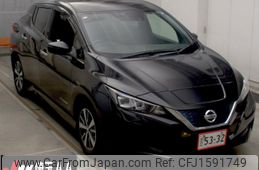 nissan leaf 2019 CFJ1591749