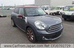 mini mini-others 2015 23108