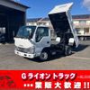 isuzu elf-truck 2021 GOO_NET_EXCHANGE_0702476A30250117W001 image 1