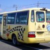 toyota coaster 2007 CFJ1561441 image 5