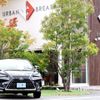 lexus nx 2018 -LEXUS--Lexus NX DBA-AGZ10--AGZ10-1018311---LEXUS--Lexus NX DBA-AGZ10--AGZ10-1018311- image 6