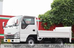 isuzu elf-truck 2008 GOO_NET_EXCHANGE_0505500A30240929W001