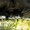 honda n-box 2021 -HONDA 【野田 580】--N BOX 6BA-JF4--JF4-1216661---HONDA 【野田 580】--N BOX 6BA-JF4--JF4-1216661- image 19
