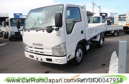 isuzu elf-truck 2010 GOO_NET_EXCHANGE_0520179A30240725W001