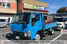 isuzu elf-truck 2008 GOO_NET_EXCHANGE_0601086A30250126W001