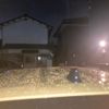 toyota land-cruiser-wagon 2024 CFJ1626281 image 6