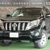 toyota land-cruiser-prado 2014 quick_quick_CBA-TRJ150W_TRJ150-0044808 image 18