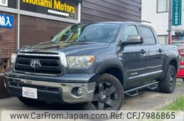 toyota tundra 2010 GOO_NET_EXCHANGE_0541127A30221110W001