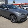 alfa-romeo stelvio 2020 CFJ1627428 image 16